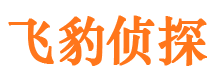 岚县市婚外情调查